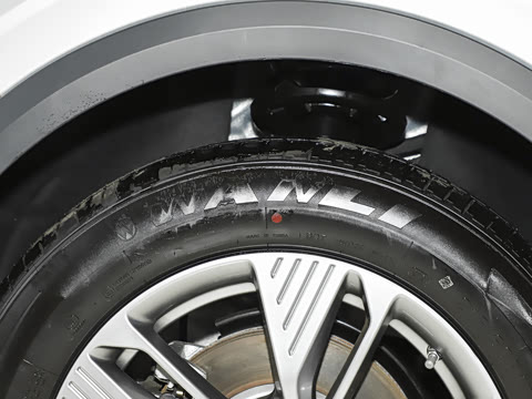 2025�� 565km �����