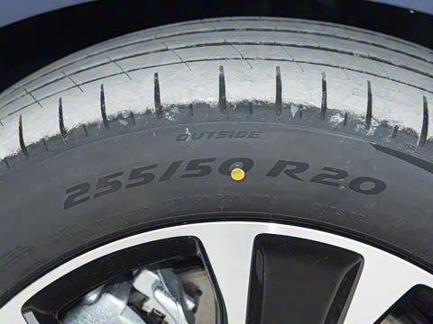 2026�� ���� Max�������� 5��