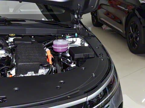 2025�� DM-i 55KM ���а�