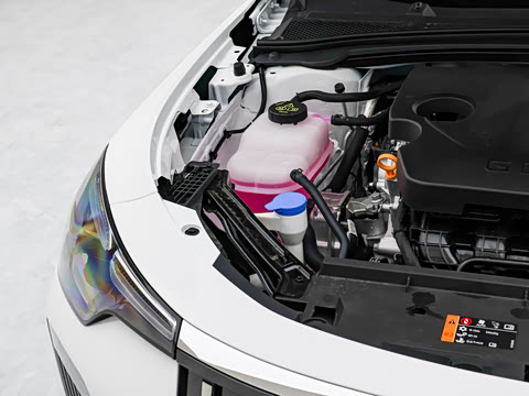 2026�� 1.5L �����