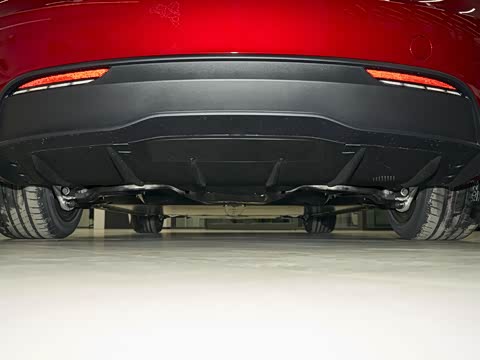 2025�� �Ŀ� ����������