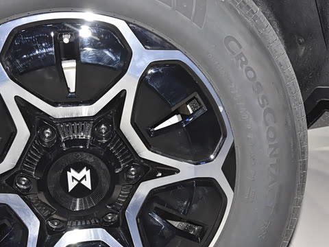 2025�� Max