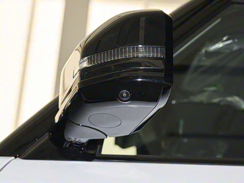 2025�� 520���������