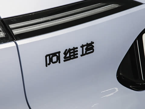 2025�� Elite�����