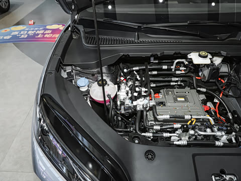 2025�� 520���г��а�