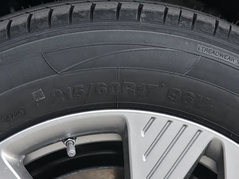 2026�� 565km ������