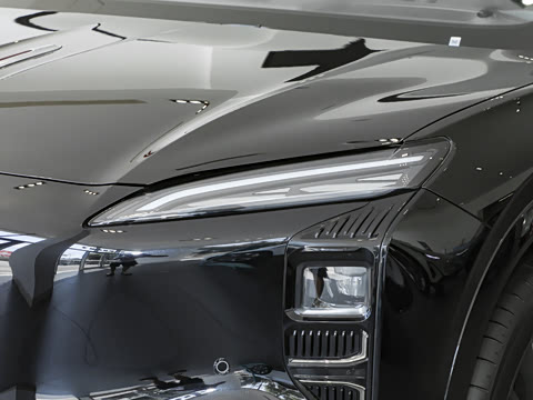 2025�� 565�����ȷ��