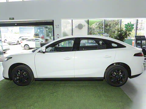 2025�� 520���г��а�