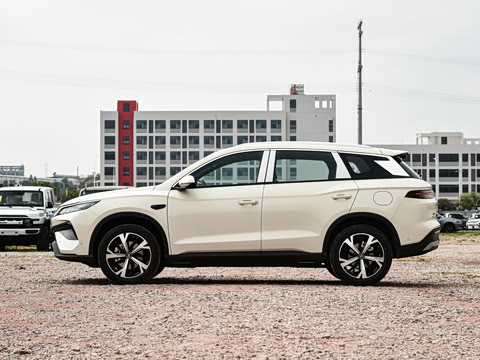 2026�� DM-i 220KM��Խ��