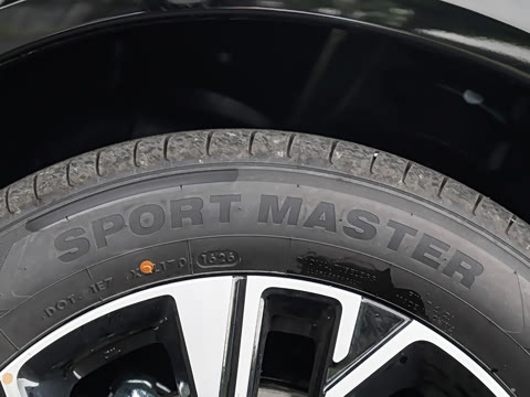 2026�� ���� 310 Max