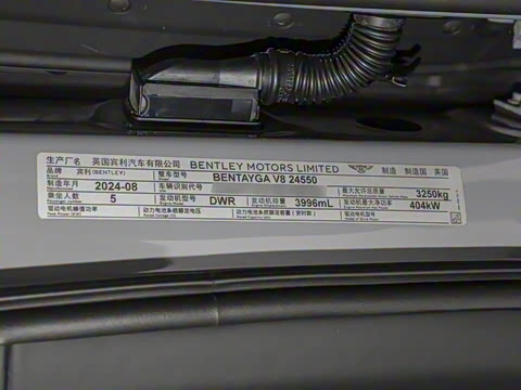 2024�� 4.0T V8 �ŶȰ�