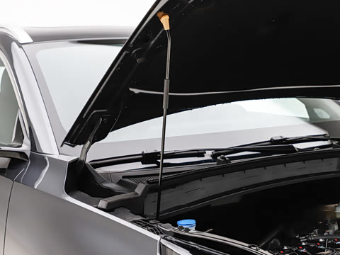 2026�� �ǻ������� 125km ��Խ��