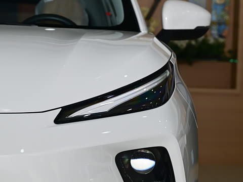 2025�� 530�캽��