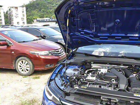 2025�� �Ŀ�� 300TSI R-Line