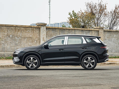 2026�� �ɳ۰� DM-i 220KM��Խ��