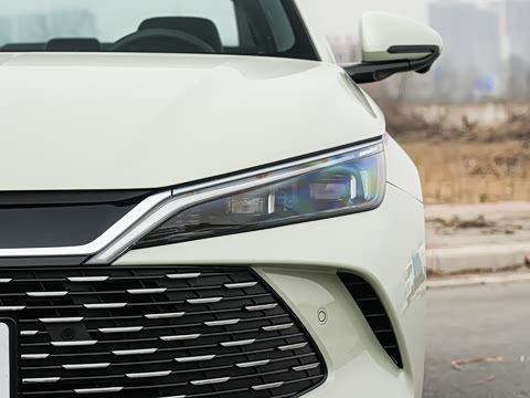 2026�� DM-i 210KM��Խ��