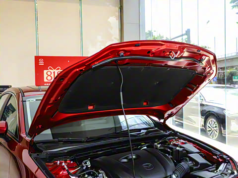 2025�� 2.0L �Զ����Ű�