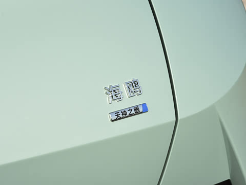 2026�� 305km ���ɰ�