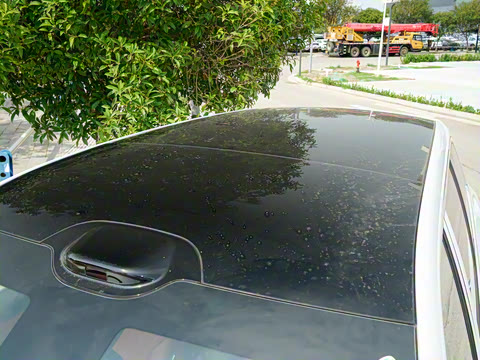 2025�� 230km ����̽����