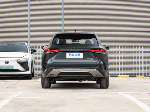 2026�� 300 ����Black Edition