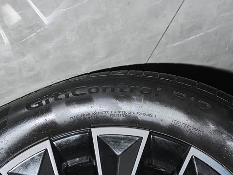 2025�� 205km Pro+�����״��