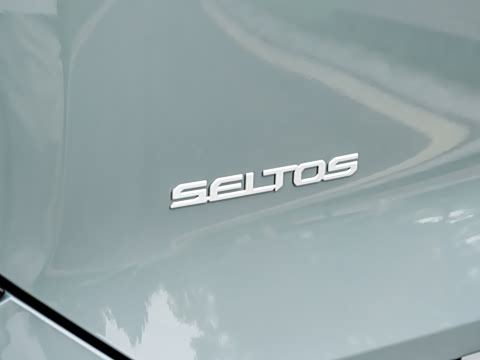 2027�� 1.5L ������