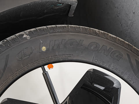 2026�� 310km �˷��