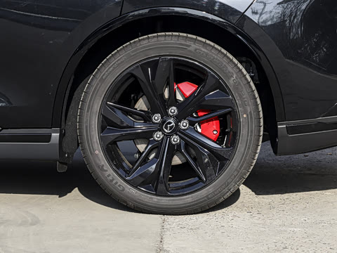 2026�� ����200 Pro�˶���