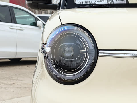 2026�� ����� 301km ������