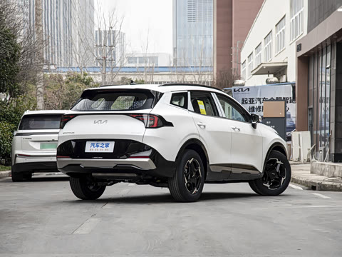 2026�� ����������