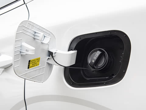 2026�� ����������