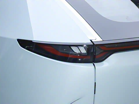 2025�� ����600 Pro