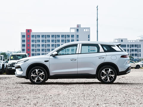 2026�� DM-i 220KM��Խ��