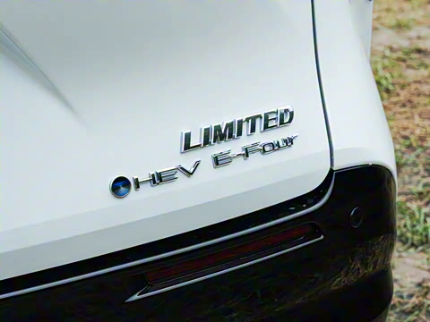 2026�� 2.5L ˫������������