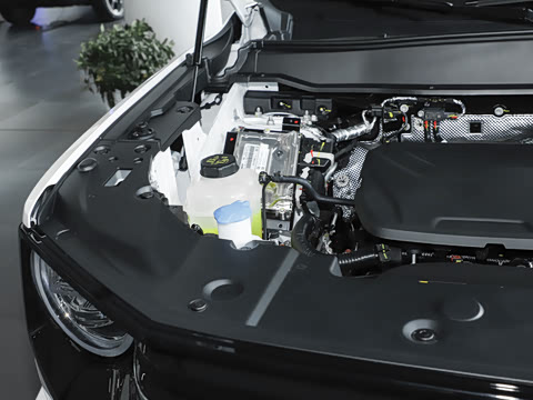 2026�� 1.5T ��Ȥ��