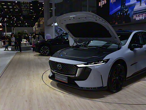 2026�� ����200 Max�˶���