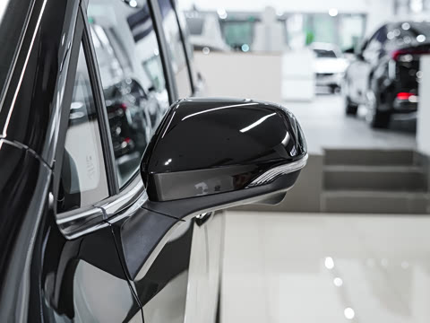 2025�� �Ŀ� �콢��