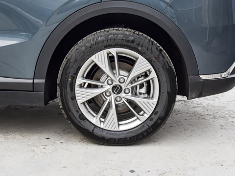 2025�� 445km ���ð�