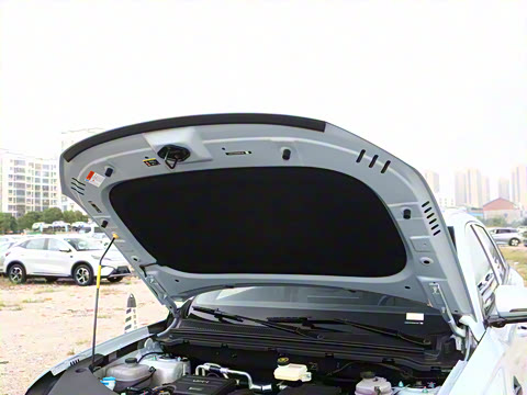 2026�� DM-i 133KM��Խ��