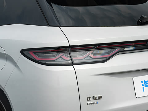 2026�� DM-i 310KM ׿Խ��