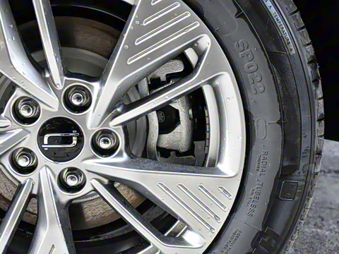 2025�� 565km ������