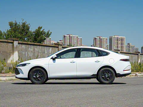 2025�� DM-i �Ǽݰ� 128KM��ȡ��