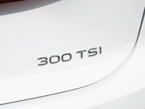 2026�� S 300TSI ������