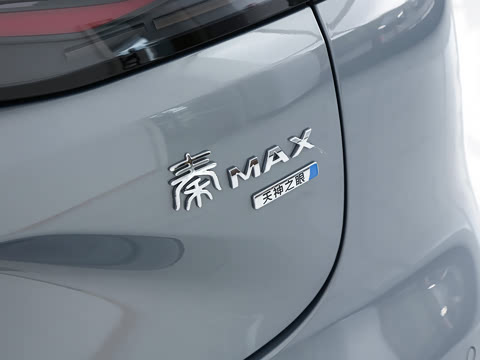 2026�� DM-i 230KM��Խ��