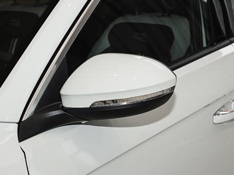 2026�� 300TSI DSG���������