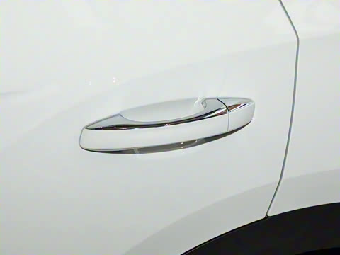 2026�� 300TSI DSG���������