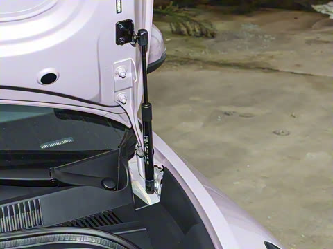 2026�� 310km �ഺ��