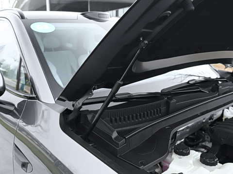 2026�� ���� �����