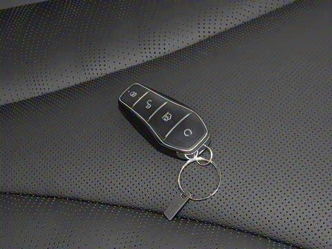 2025�� DM-i 150KM������