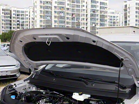 2025�� 1.5T 6MT ������